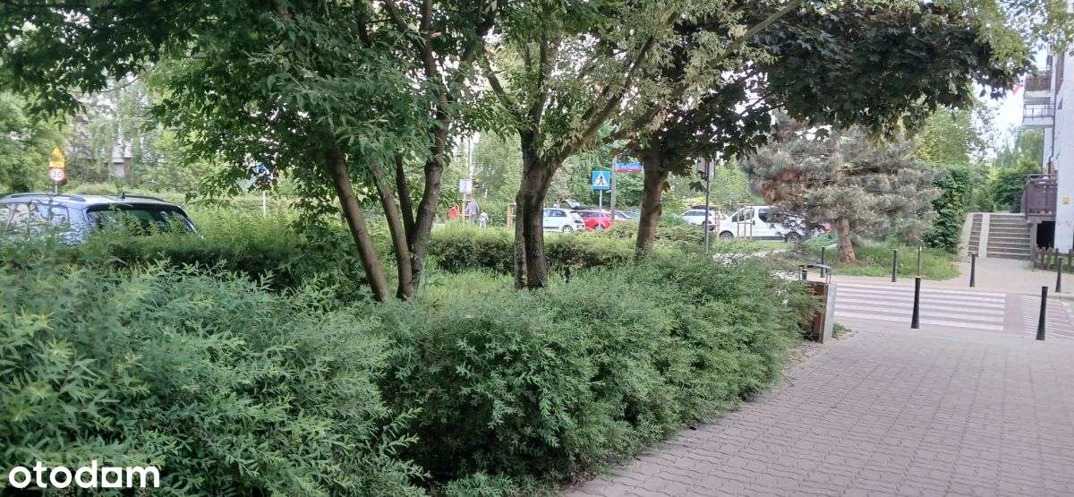 2 poziomy/ Lokal z witryną / Wejście z ulicy - Pełny obrazek: 4/5