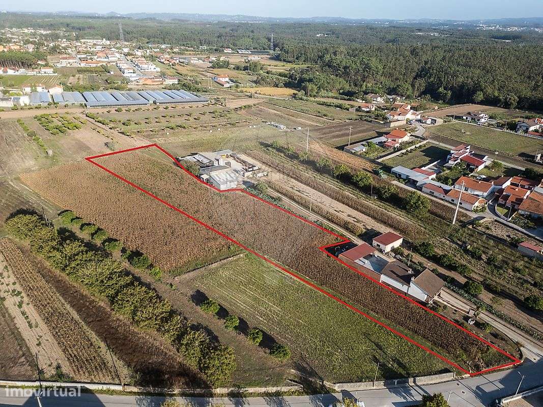 Terreno  para venda - Grande imagem: 3/33