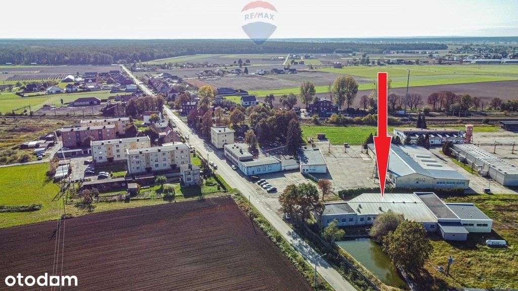 Krotoszyn/Biadki obiekt produkcyjny hala magazyn - Pełny obrazek: 5/20