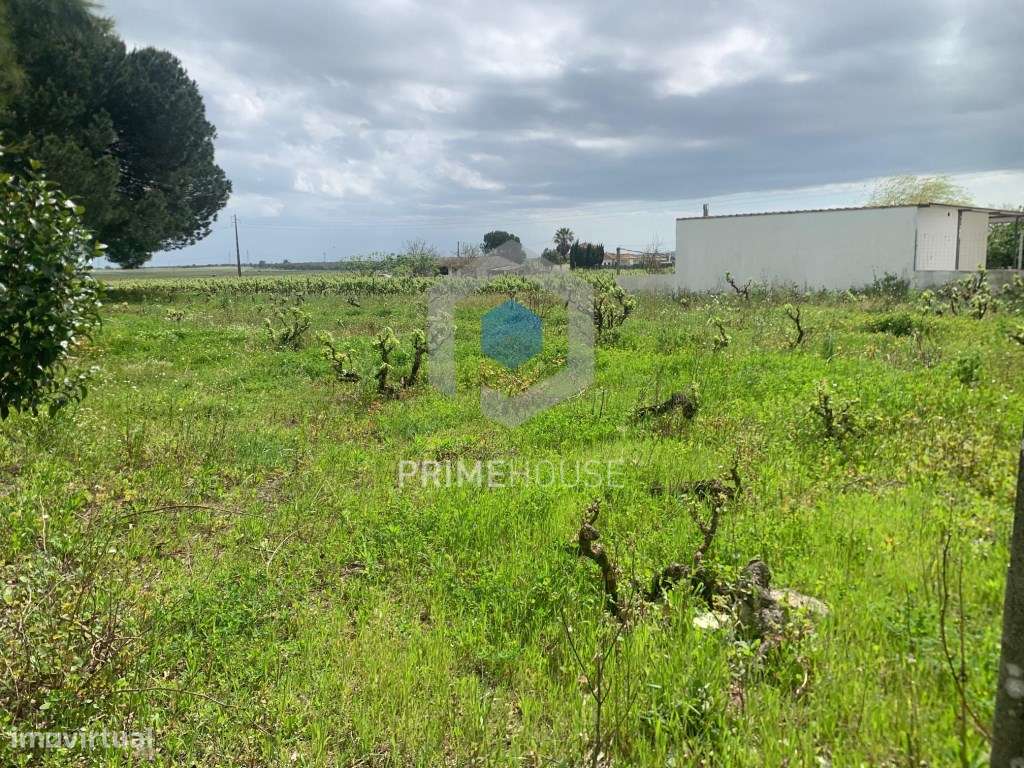 Terreno Urbano 4538m2 Estrada dos Espanhóis - Grande imagem: 2/6