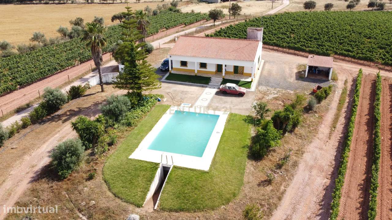 Vinha com 166 228m2, com benfeitoria (projeto) em Estremoz. - Grande imagem: 4/31