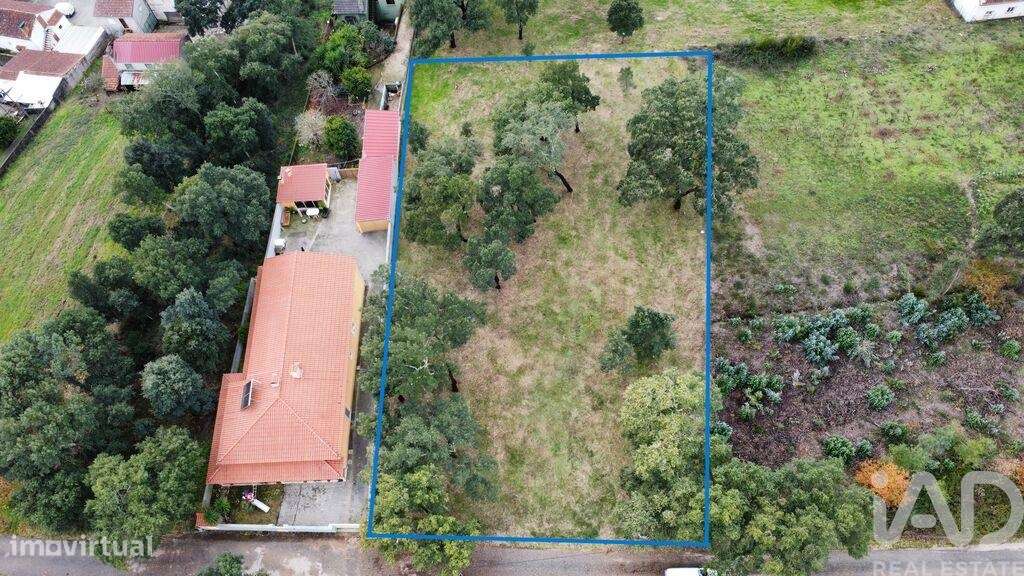 Terreno Agrícola em Figueiró dos Vinhos e Bairradas - Grande imagem: 5/18