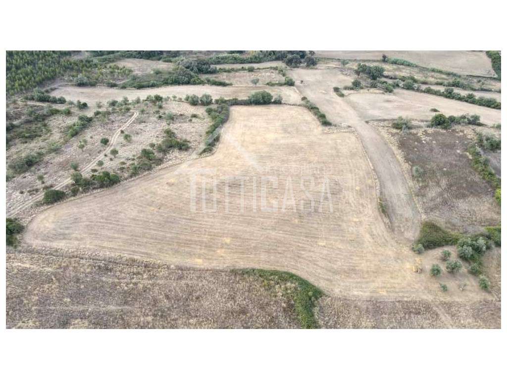 Terreno Rústico na Póvoa da Galega - Grande imagem: 2/10