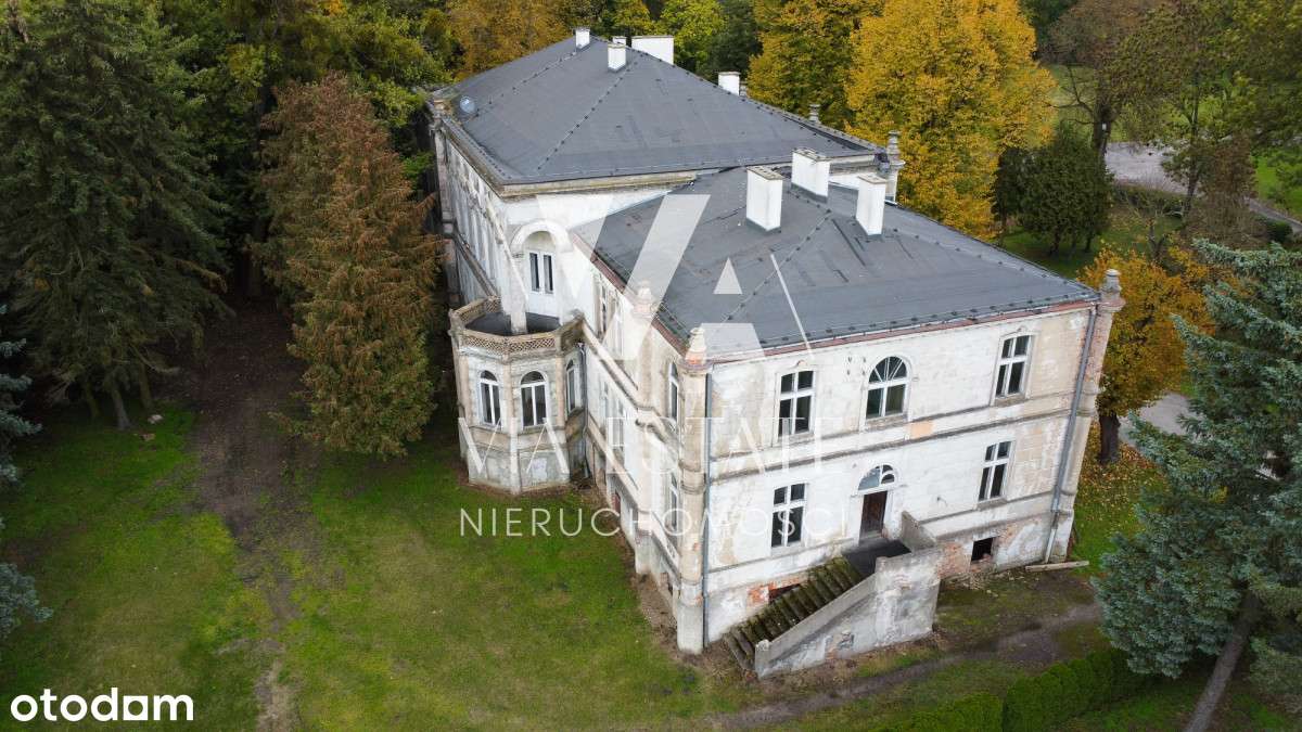 Pałac eklektyczny,zabytkowy park,stawy, do remontu-3