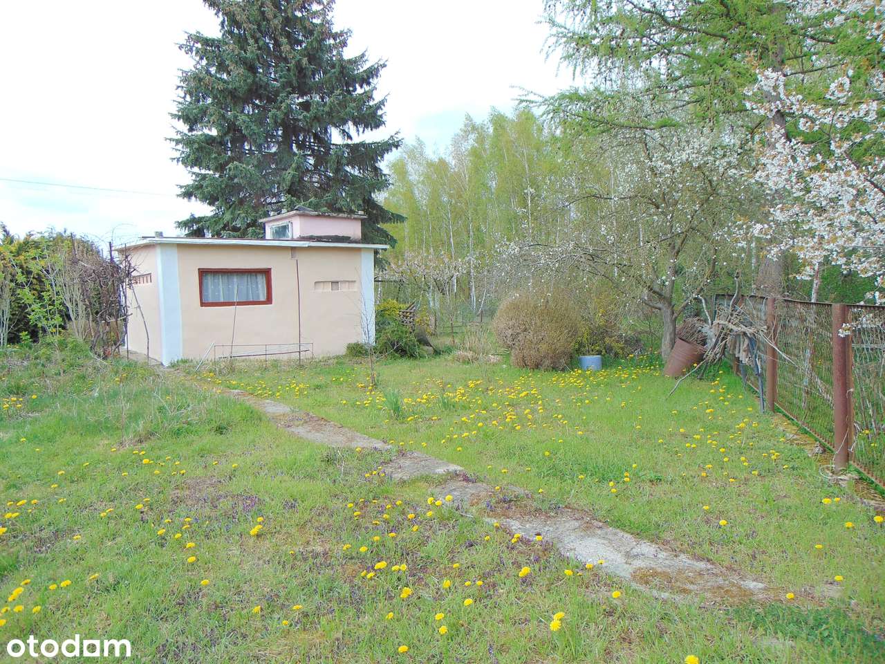 DZIAŁKA OGRODOWA ROD „MŁODOŚĆ-6