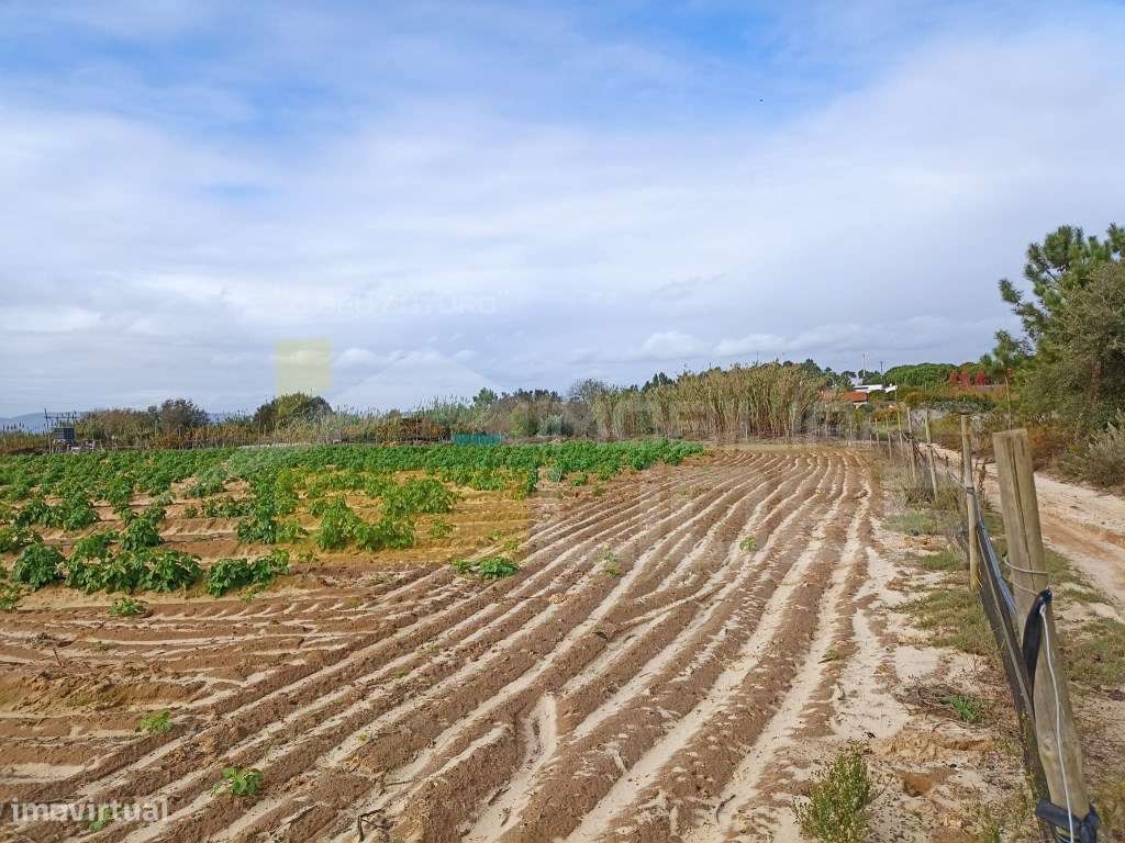 Terreno com 26.600m2 em Aveiras De Cima- Azambuja - Grande imagem: 4/13