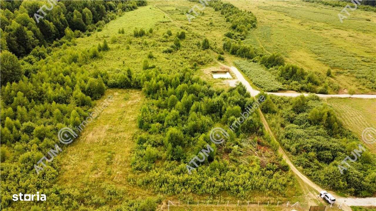 Teren intravilan 3900 mp Porumbacu de Sus, Sibiu - Imagine principală: 3/16