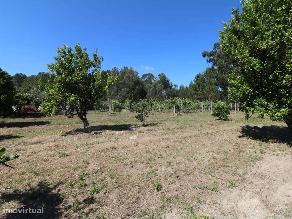 Terreno com 1,5 hectares na Gandra - Grande imagem: 5/19