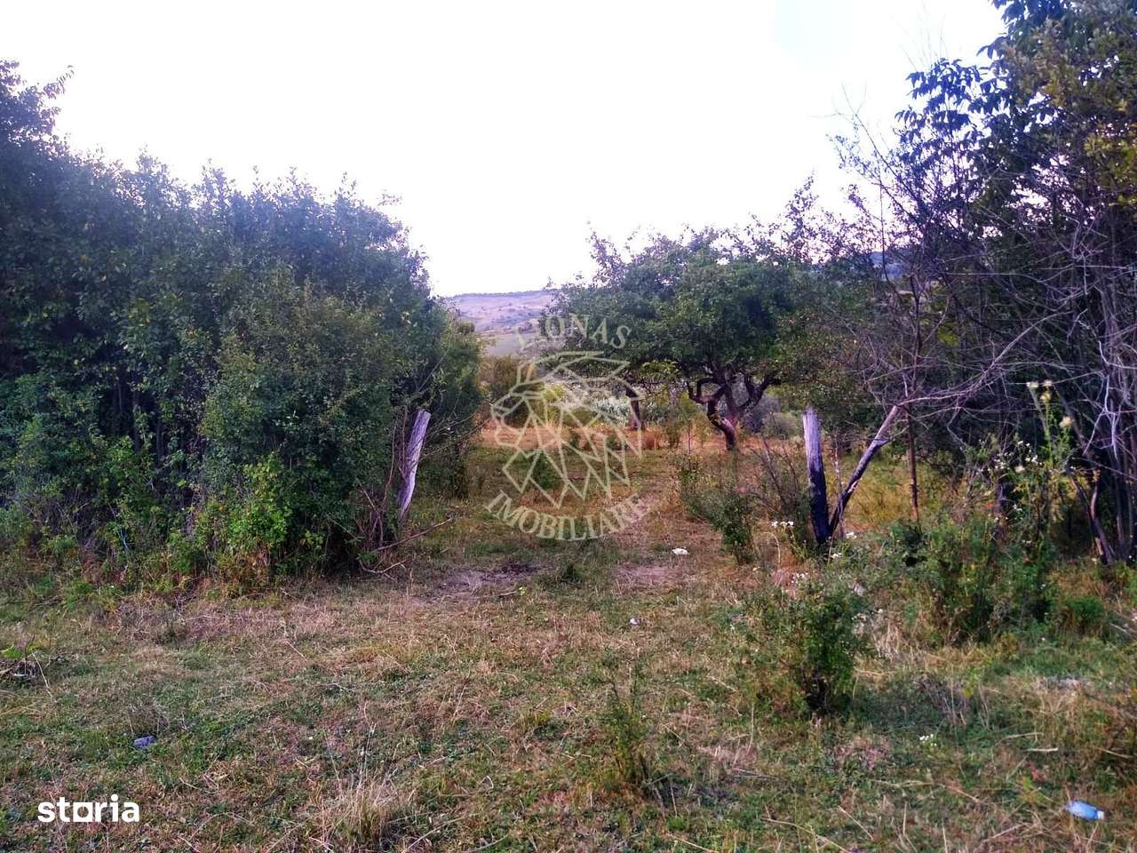 Teren 60 ari - oportunitate investitie - Satu Nou - Imagine principală: 2/3