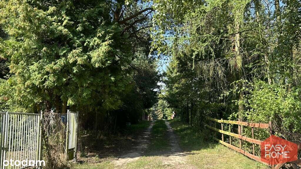 Cudowne miejsce w pobliżu jeziora i lasu-11