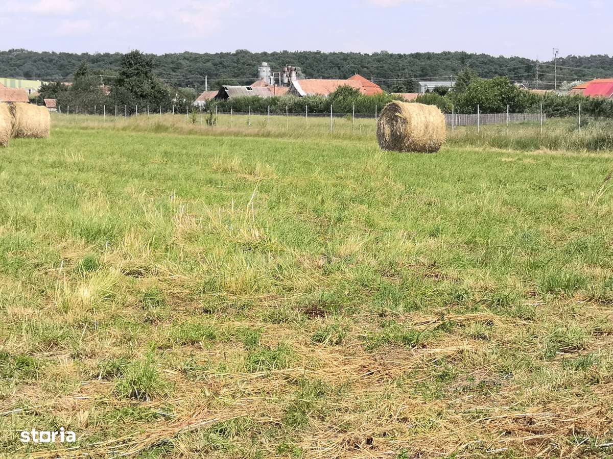 Potențial imobiliar!  2 case in curte, front 30 m, teren 15277 mp - Imagine principală: 5/20