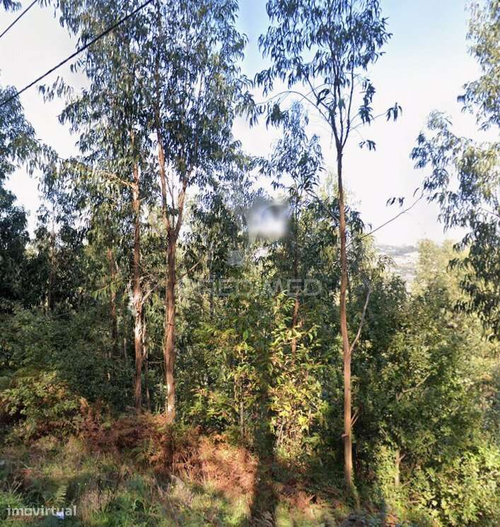 Terreno Rústico - Grande imagem: 2/2