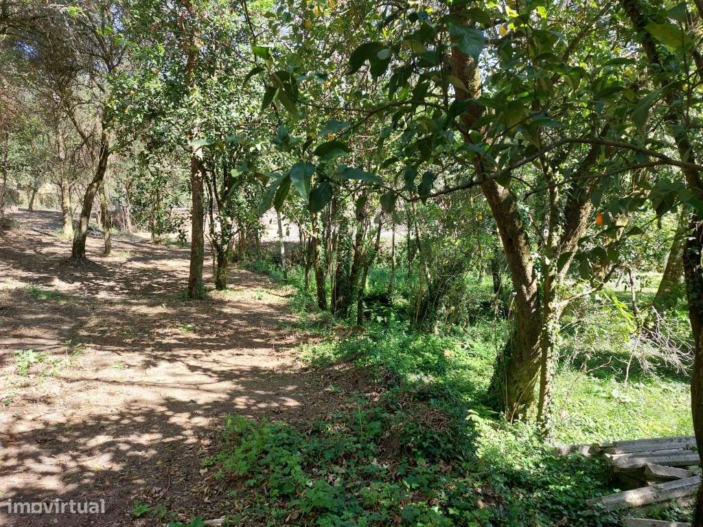 Quinta c/ Casa em Pedra p/ Restauro - Caires - Grande imagem: 4/33