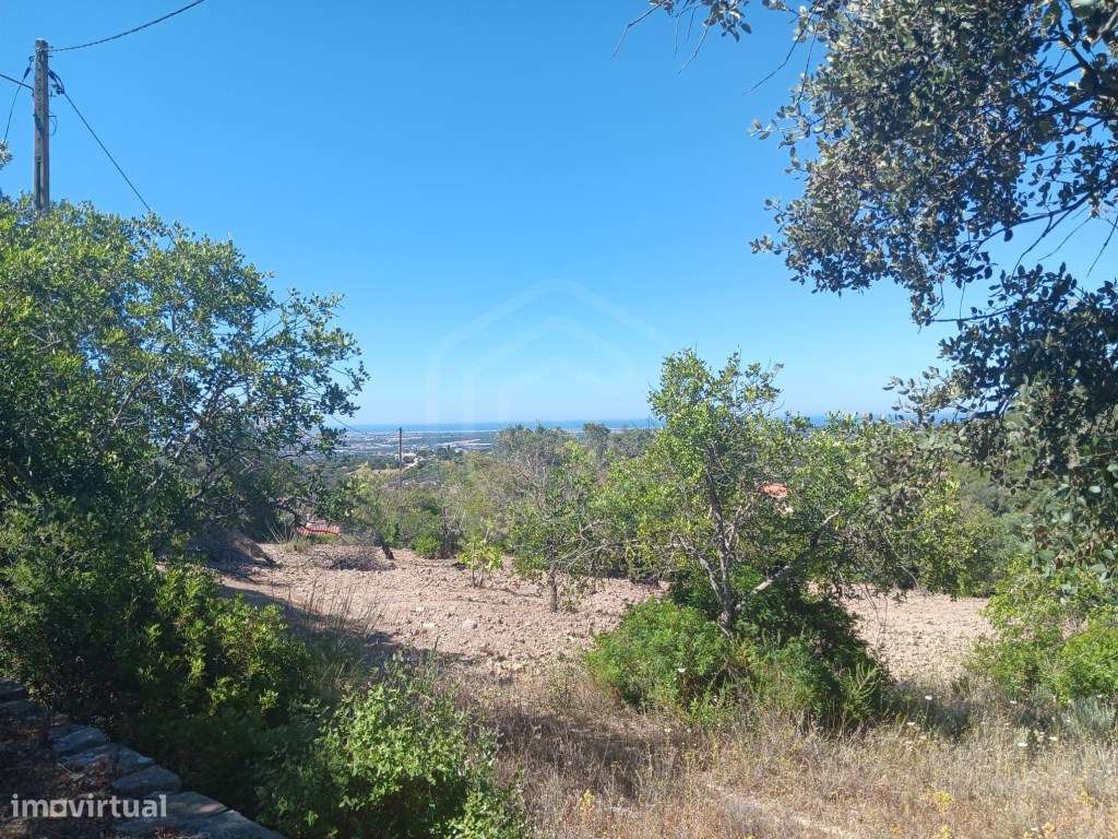 Terreno com ruína, vista mar, Santa Bárbara de Nexe, Faro, Algarve-21