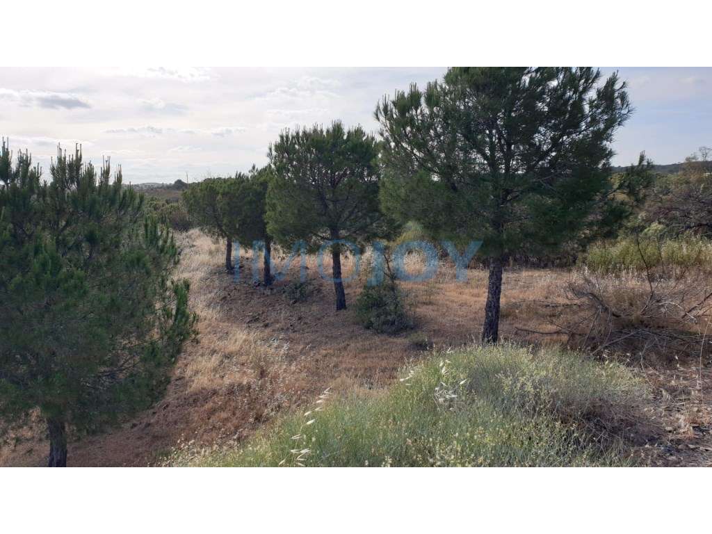 Terreno na Murteira de Baixo, Azinhal em Castro Marim - Grande imagem: 5/12