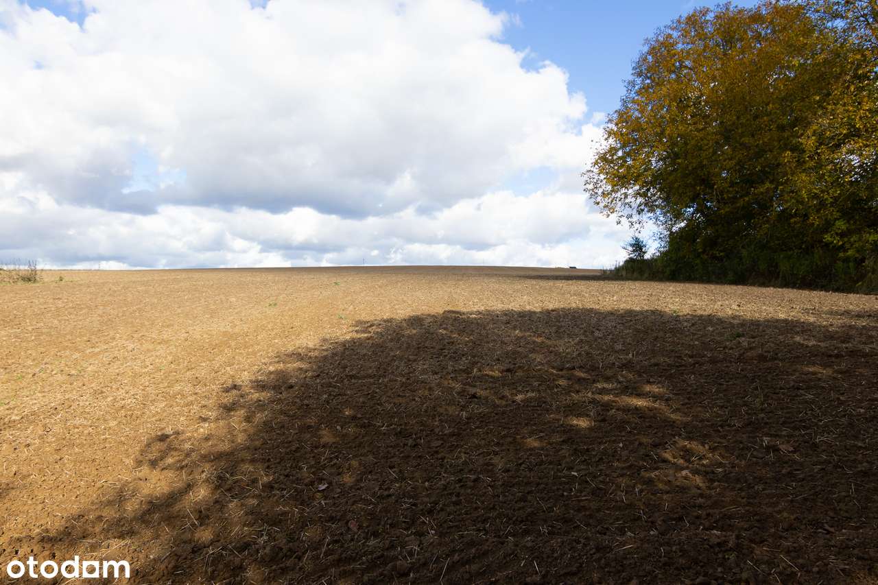 Działka budowlana Chmiel - Kolonia-6