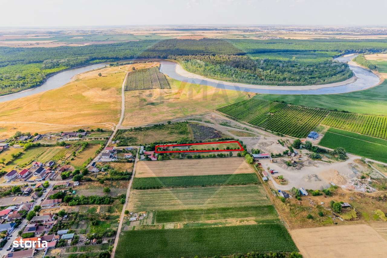 Teren intravilan de  4,000 mp in Zadareni - Imagine principală: 2/6