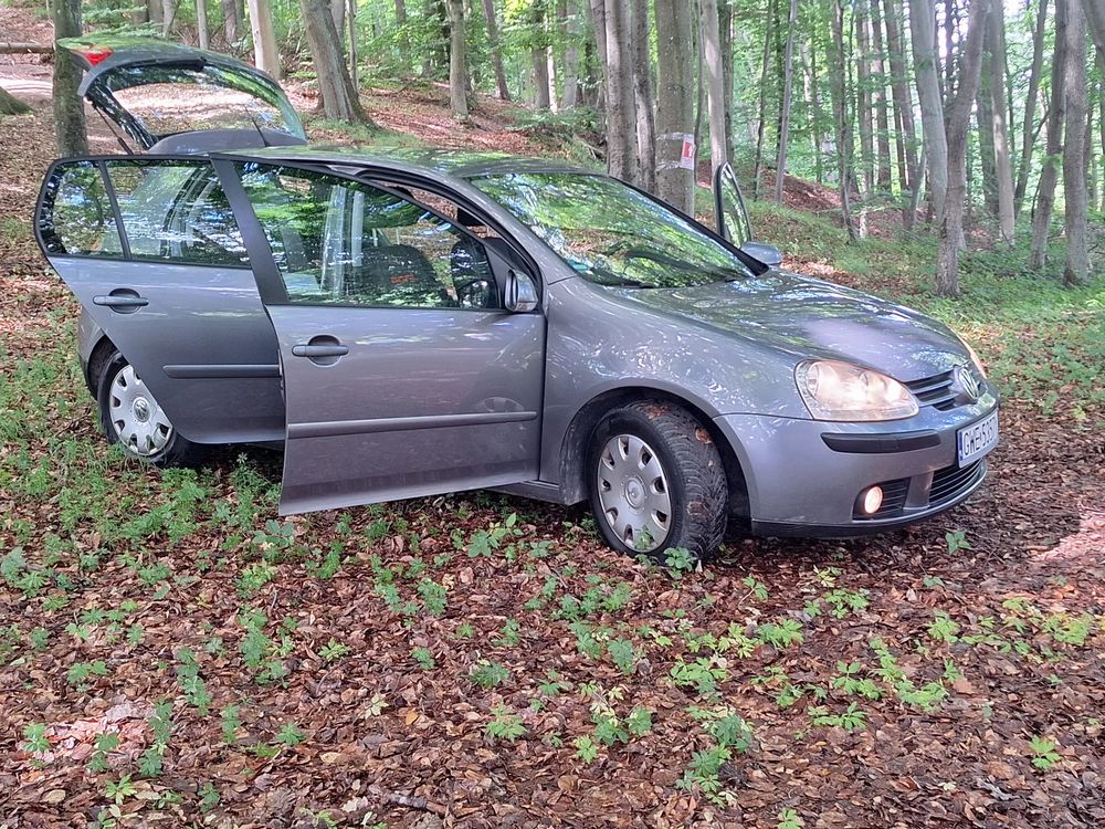 Volkswagen Golf V (2003-2009) 1.4 Goal 2006