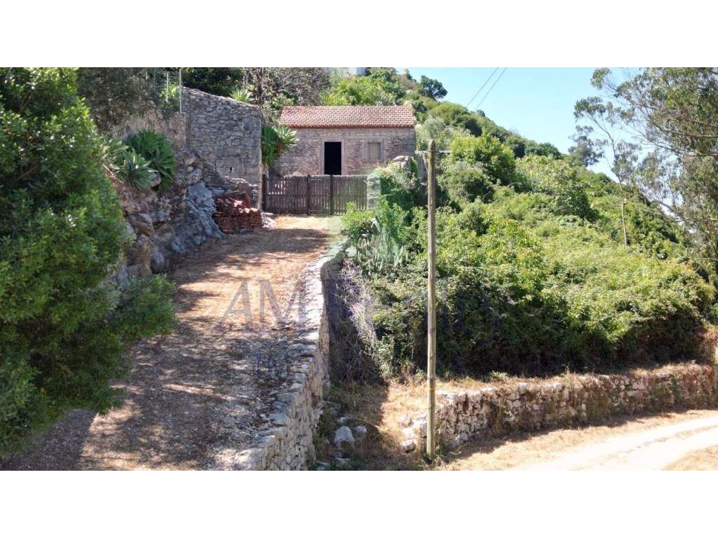 TERRENO RÚSTICO COM CASA AGRÍCOLA EM PEDRA|REGUENGO GRANDE|LOURINHÃ - Grande imagem: 3/30