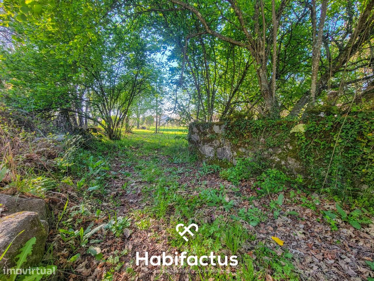 Moradia Isolada T3, para reconstrução com terraço e terreno de 1.828 m-7