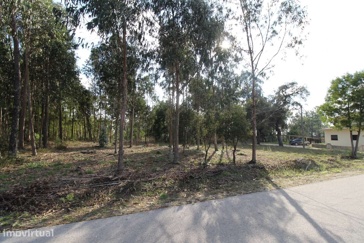 Terreno / Carvide / Leiria - Grande imagem: 3/5