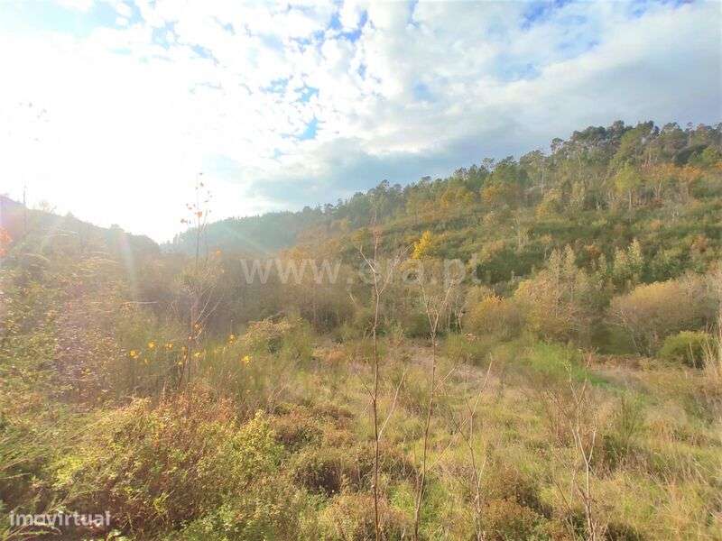 Terreno / Baião, Gove - Grande imagem: 4/9