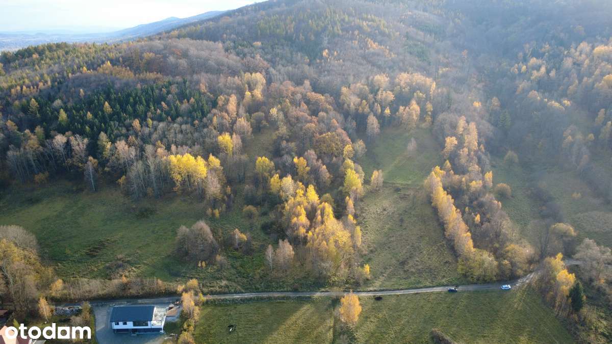4 Działki przy lesie z widokiem na Góry Sowie-1