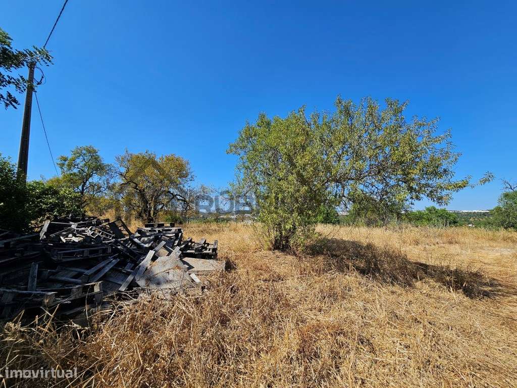 Casa com herdade de 30 mil m2 a sul de Loulé com enorme potencial-3