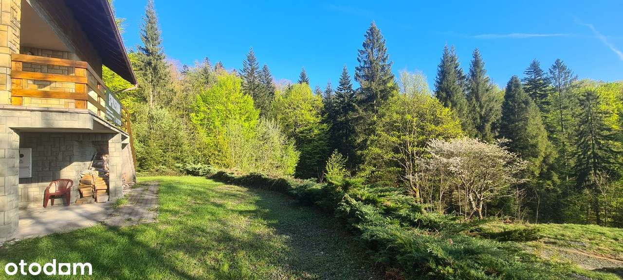 REZERWACJA - Pełny obrazek: 3/20