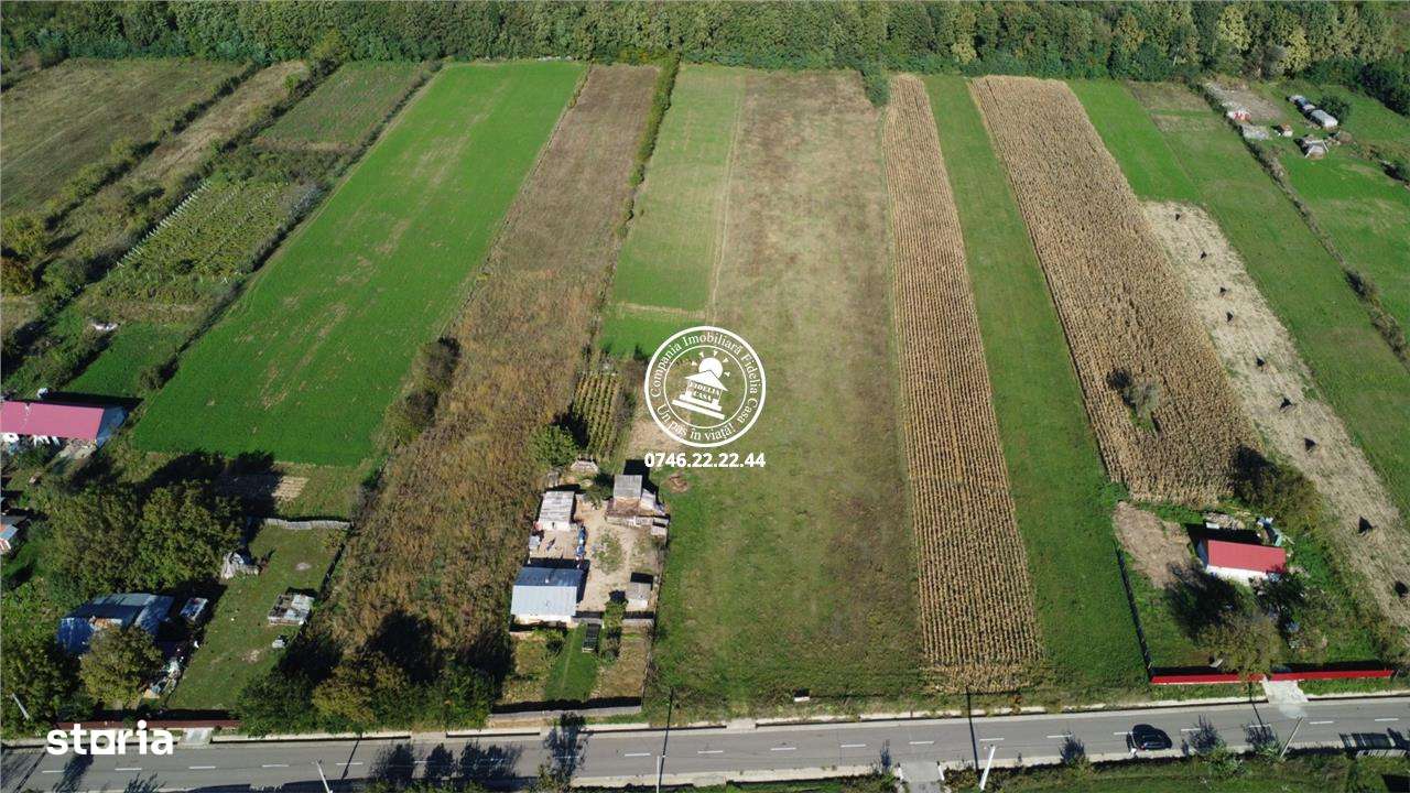 Teren intravilan intr-o zona superba de padure - Imagine principală: 4/5