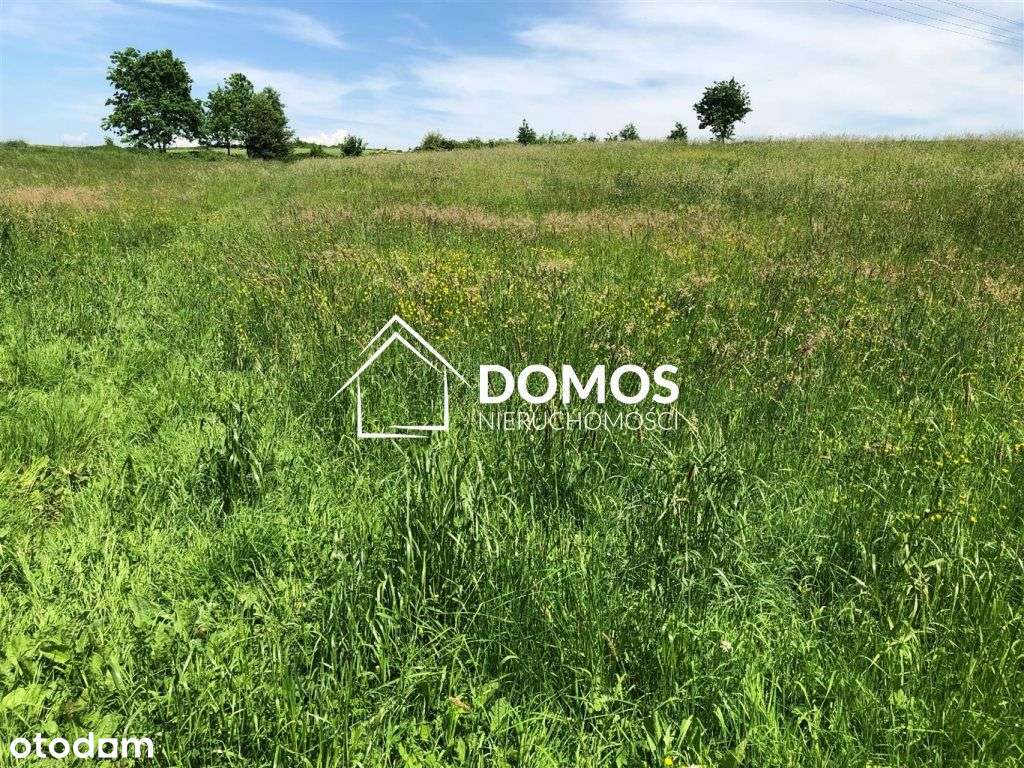 Widokowa działka nad jeziorem Goczałkowickim. - Pełny obrazek: 5/9