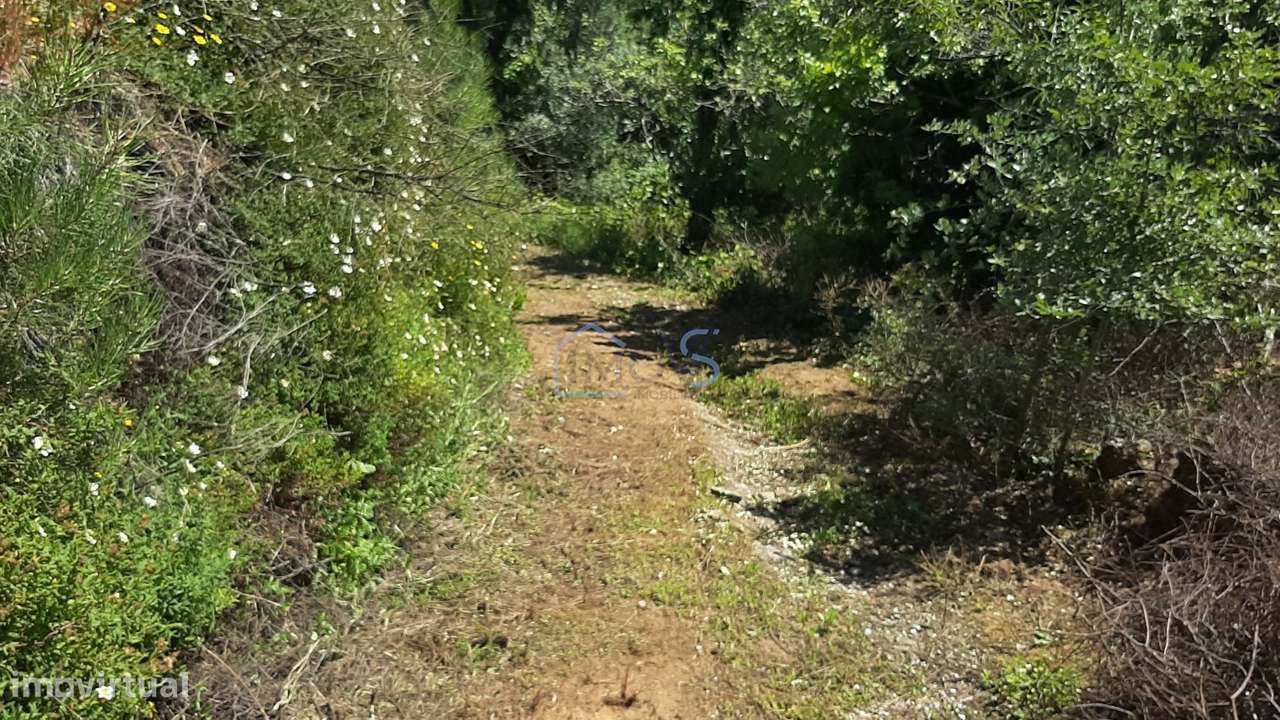 Terreno com Projeto Aprovado para Moradia em Besteiras – Águas Belas-16