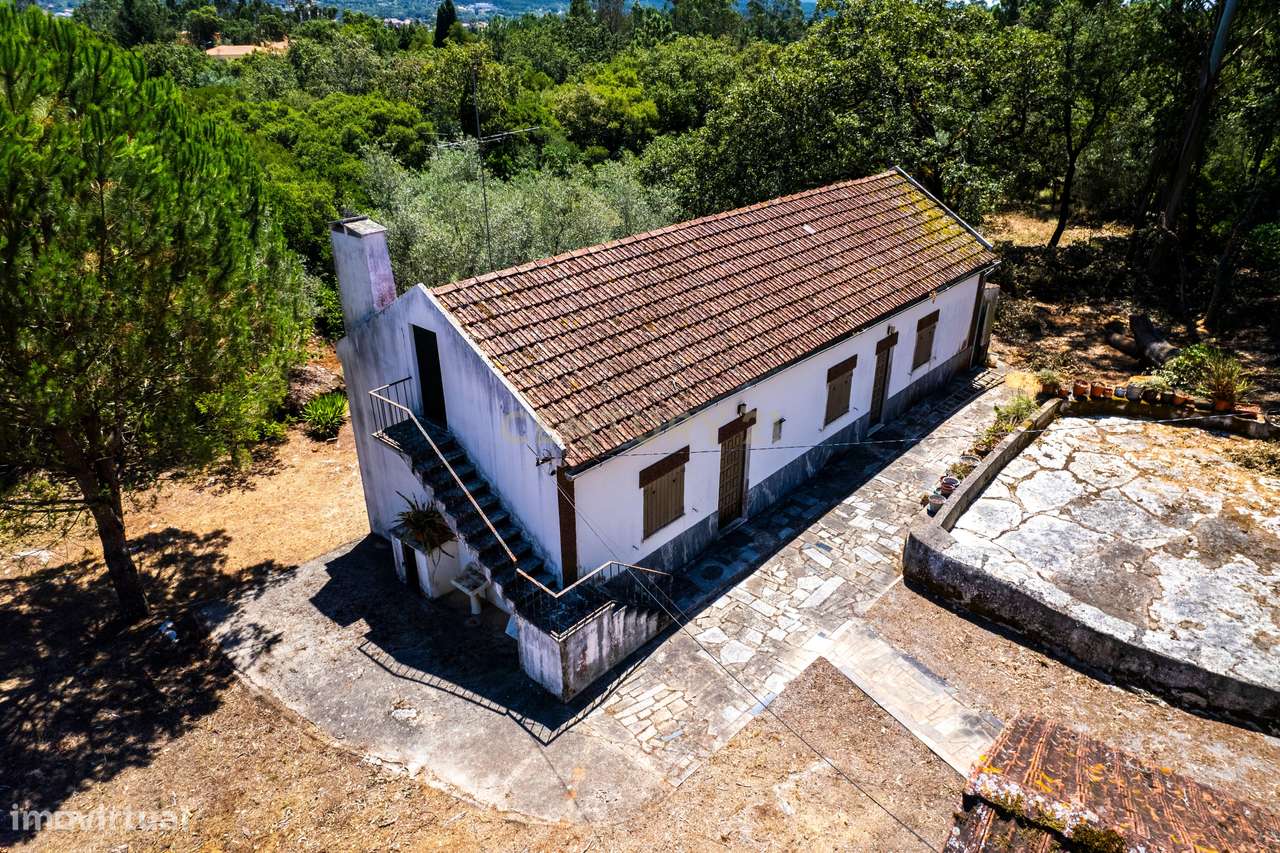 MORADIA/QUINTA EM ALCOBAÇA, LAGOA DO CÃO - Grande imagem: 2/60