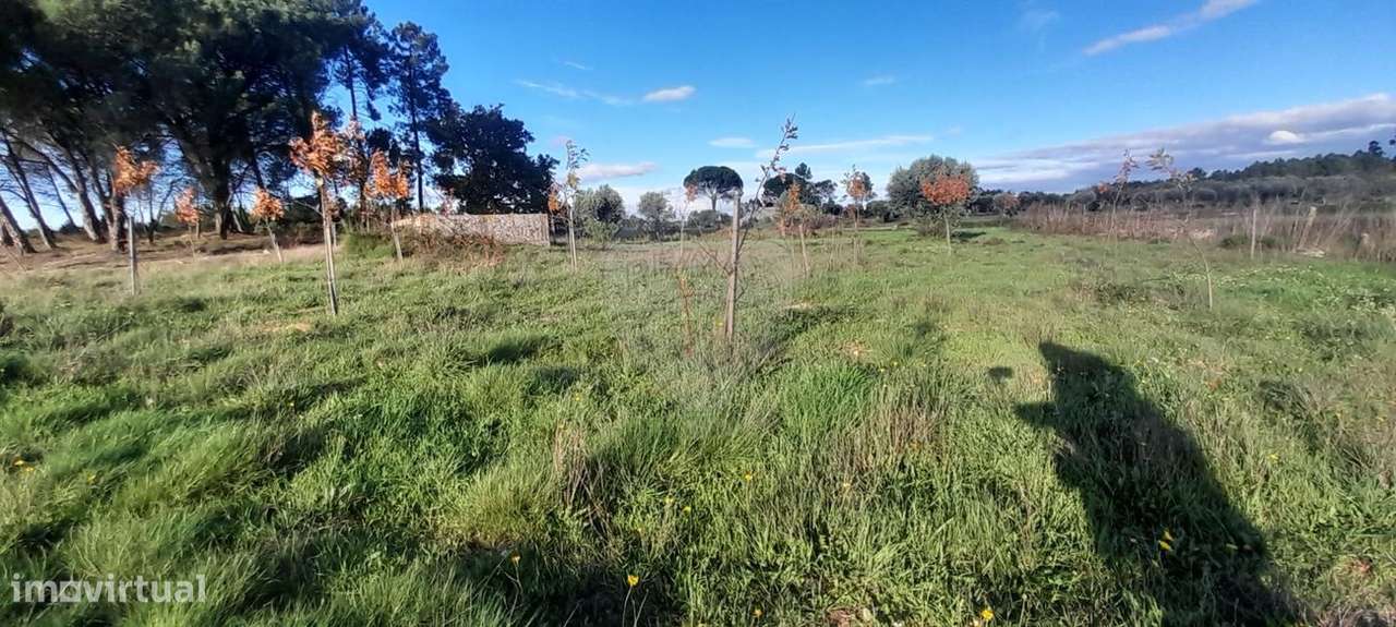 Quinta  para venda - Grande imagem: 4/11