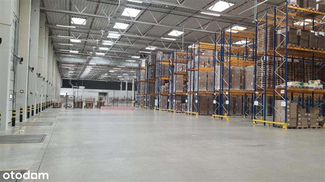 Magazyn na podnajem 1,000 m2 Piotrków Tryb. - Pełny obrazek: 3/5