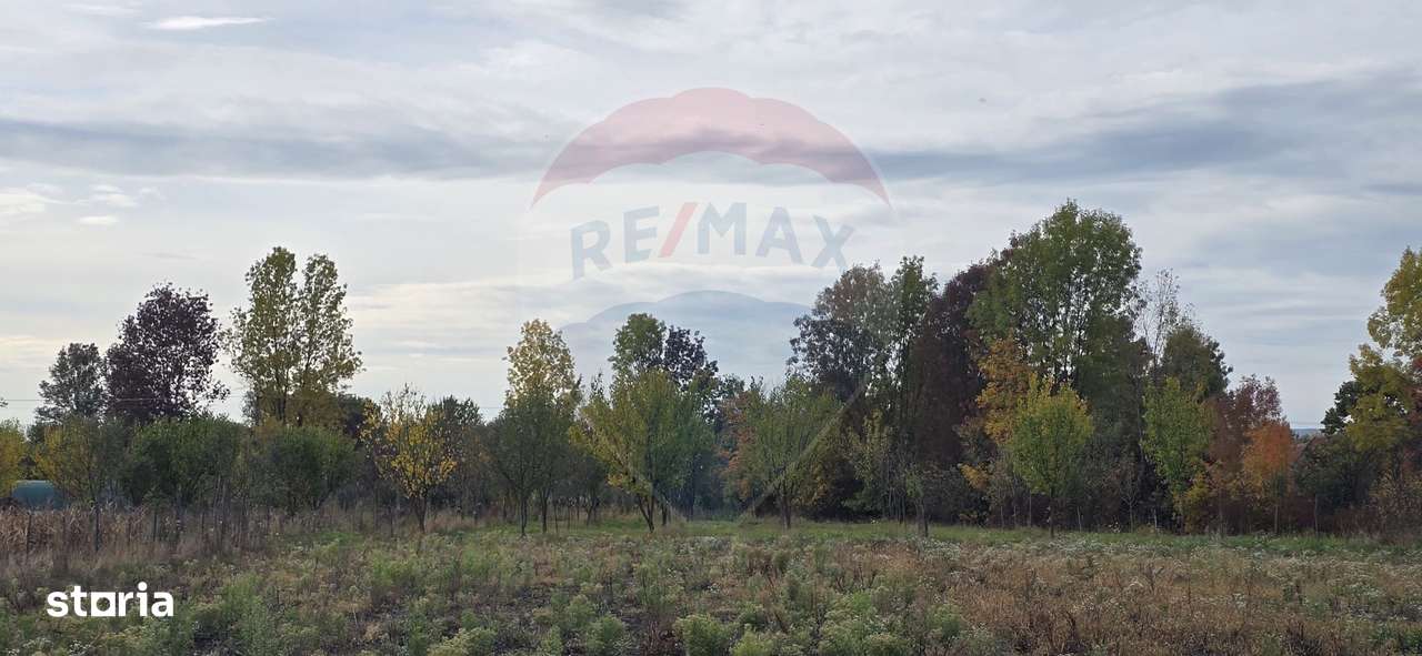 Teren generos cu potential în comuna Silindia, judetul Arad - Imagine principală: 4/12