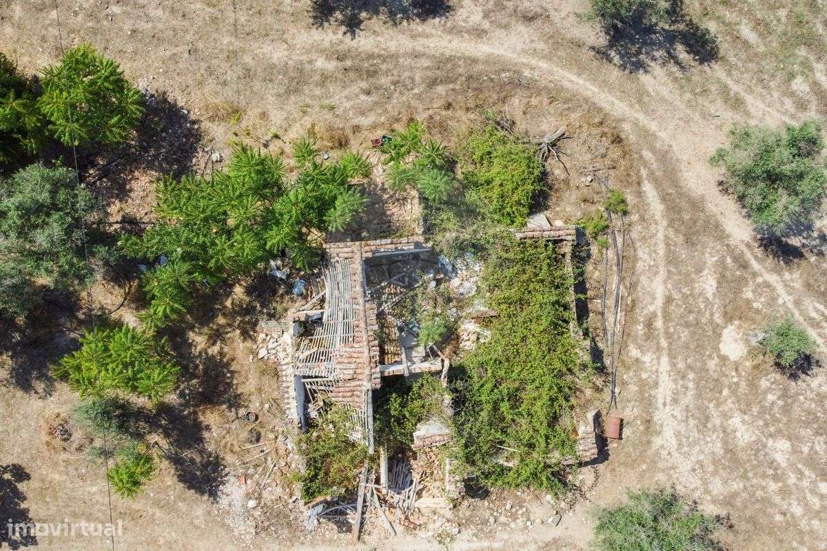 Quinta T5 para venda - Grande imagem: 5/10