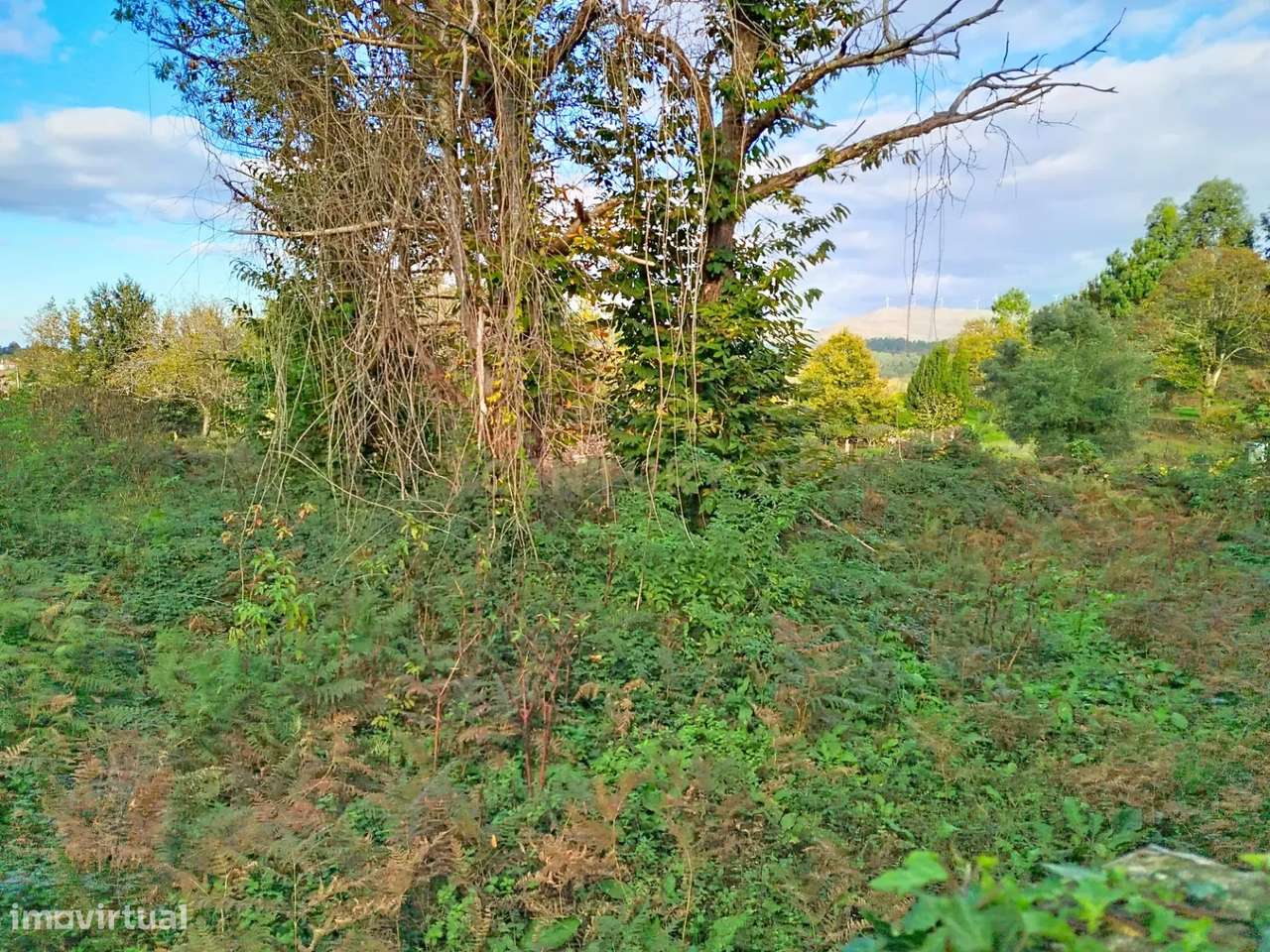 Ruina em Fontoura, Valença - Oportunidade Única!-12