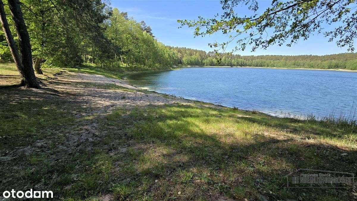 Okole - Grunt siedliskowy w otoczeniu lasu ok. 100-11