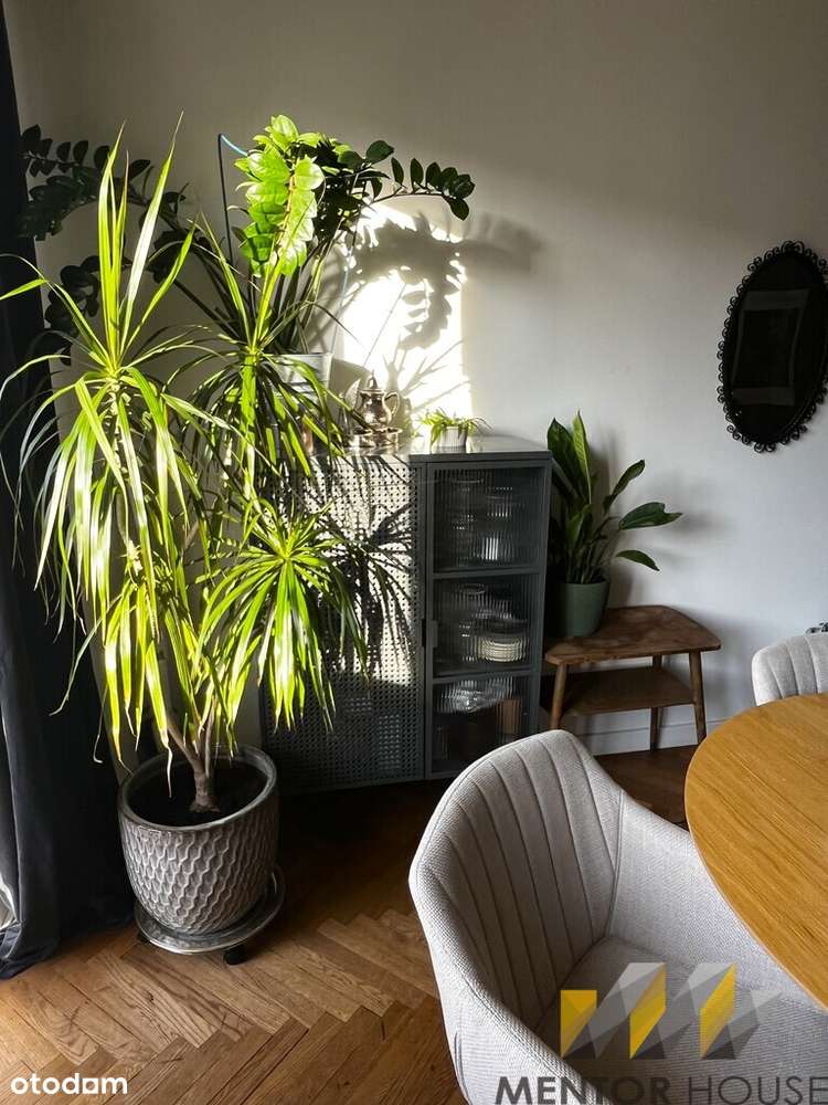 Klimatyczne mieszkanie 3 pokojowe Mokotów Puławska-5