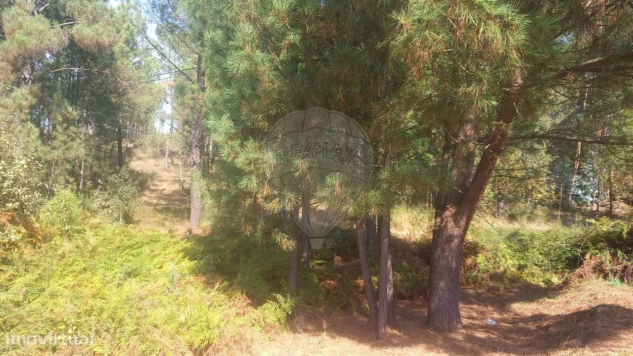 Terreno  para venda - Grande imagem: 5/9