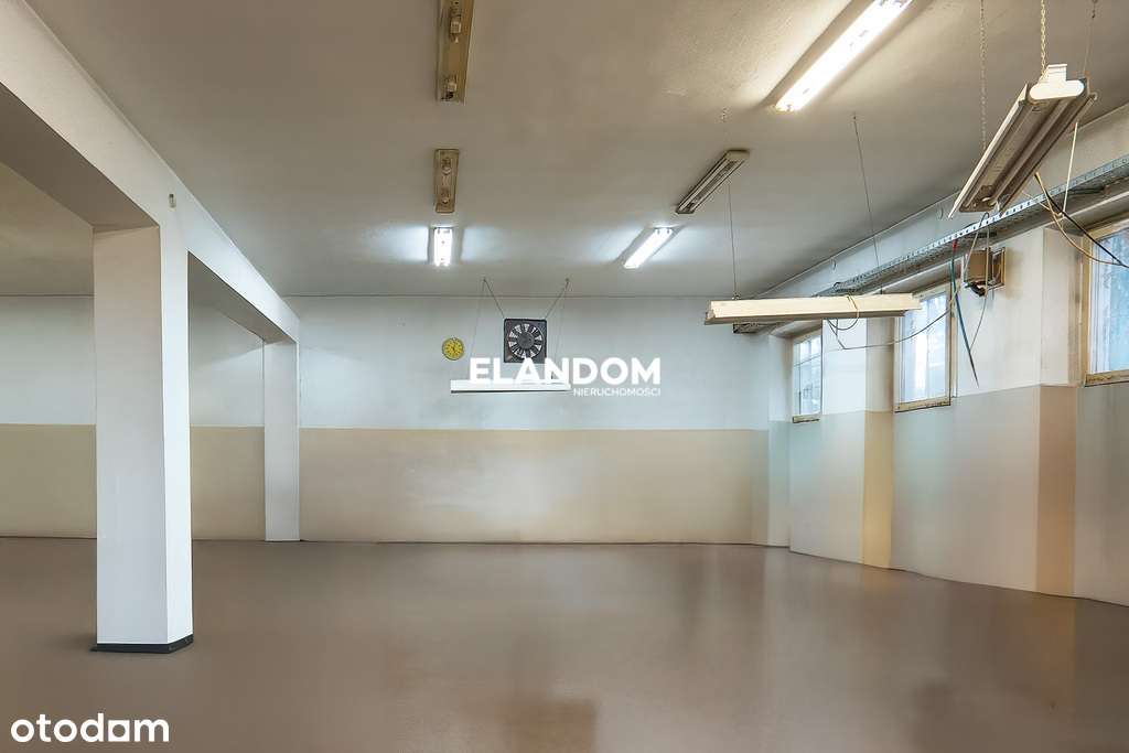 Obiekt z dużym potencjałem w Michalinie - Pełny obrazek: 5/9