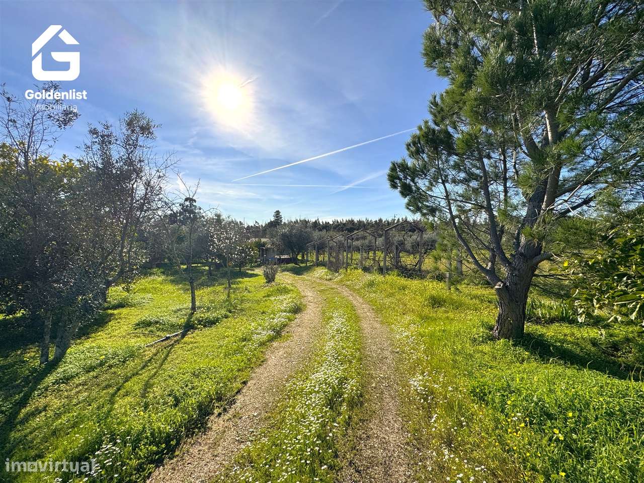Quinta  Venda em Monforte da Beira,Castelo Branco-22