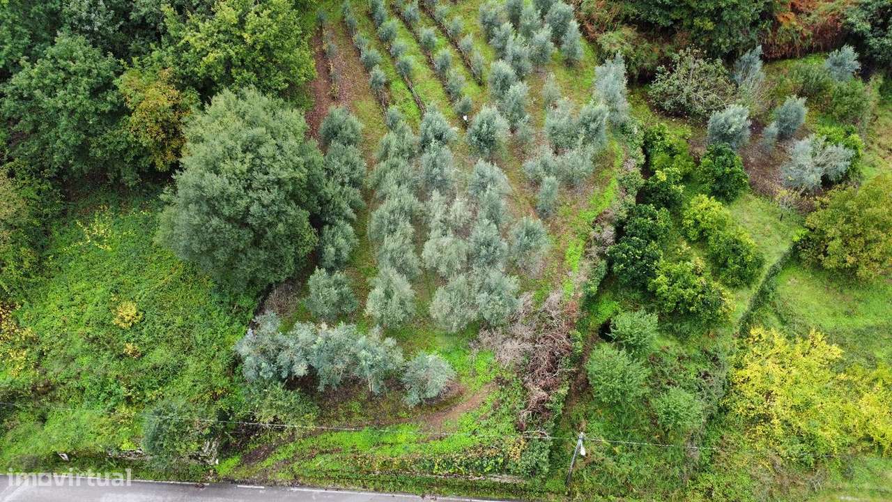 Terreno  para venda - Grande imagem: 4/14