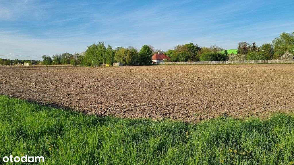 Dogodna lokalizacja, działki w Lesznie!-1