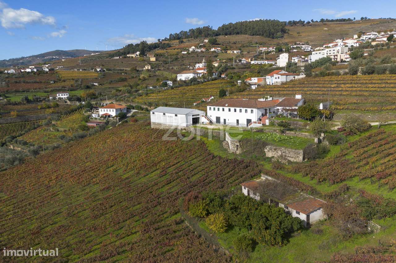 Quinta na Régua com 4.5 Hect de Vinha, com casa Duriense com 510 m2 - Grande imagem: 4/60