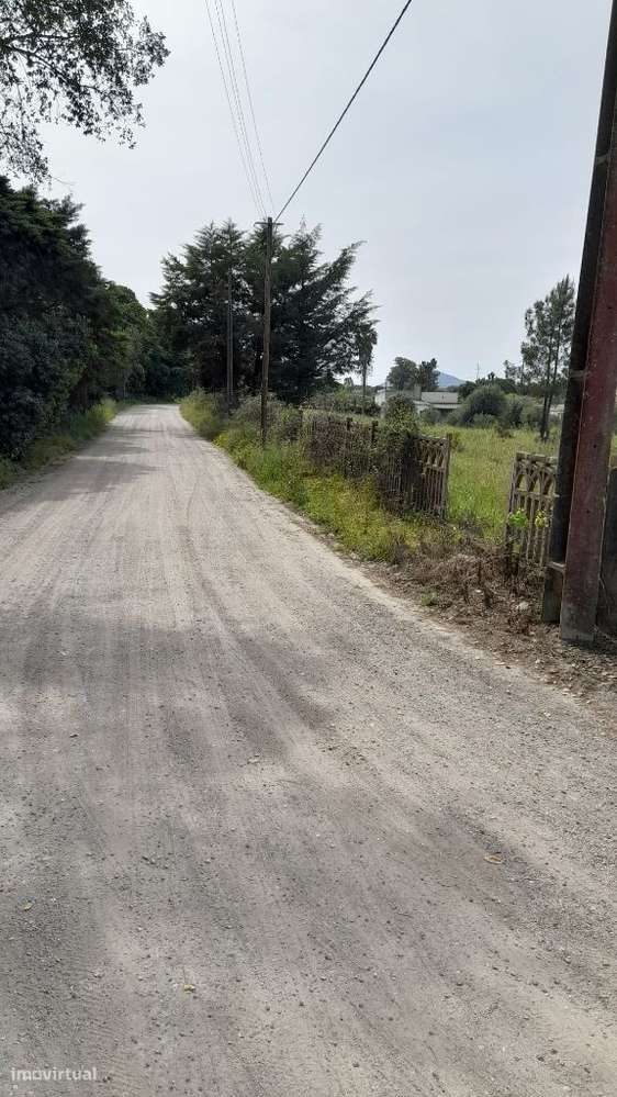 Setúbal/Padeiras Quinta 5000m2 para moradia.-11