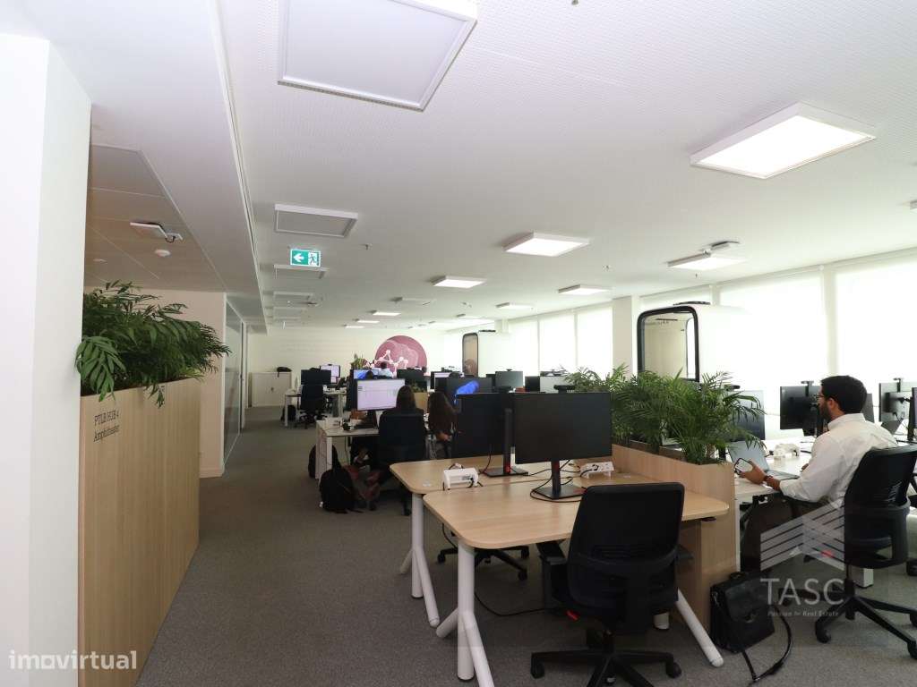 Escritório no Marquês de Pombal - Grande imagem: 4/40