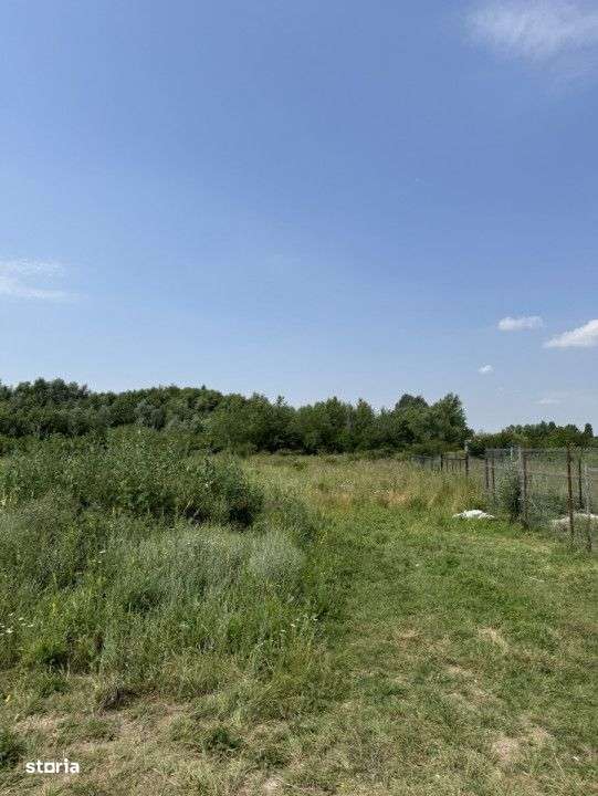 Domnesti – Strada Salciei – Teren intravilan 500 mp x 2 loturi - Imagine principală: 4/11