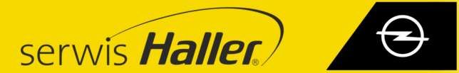 Serwis HALLER Autoryzowany Dealer OPEL w Trójmieście Oddział GDAŃSK logo